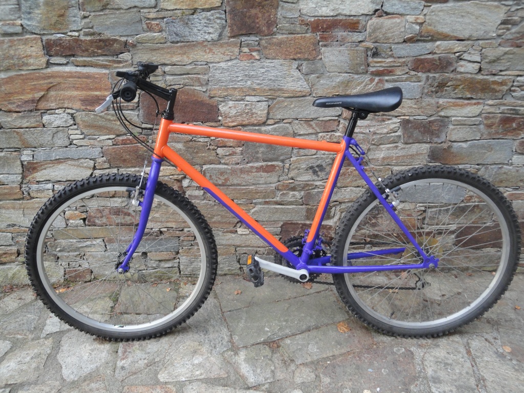 bici pintada bike bicycle painted paint orange purple naranja lila violeta